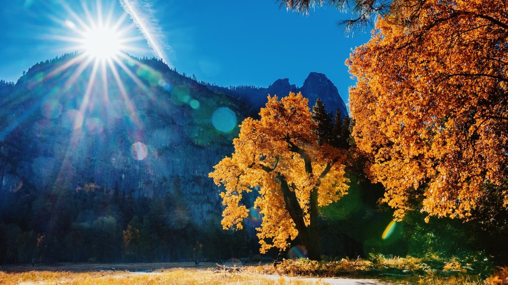 Kuva Yosemite Samista